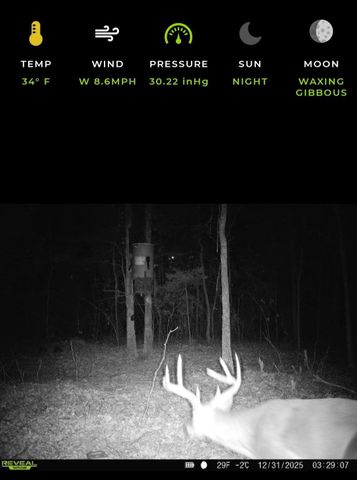 1363 CR 4530, Winnsboro, TX 75494