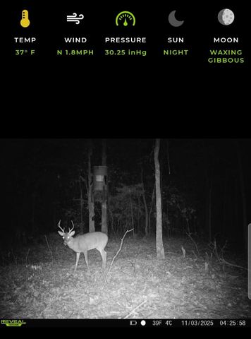 1363 CR 4530, Winnsboro, TX 75494