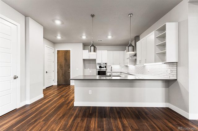 20 Wilcox Street 207, Castle Rock, CO 80104