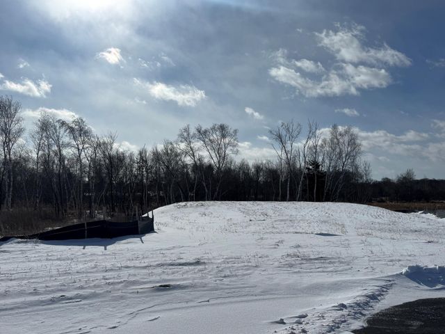 2458 179th Avenue NE, Ham Lake, MN 55304