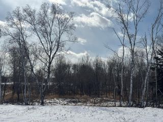 2458 179th Avenue NE, Ham Lake, MN 55304