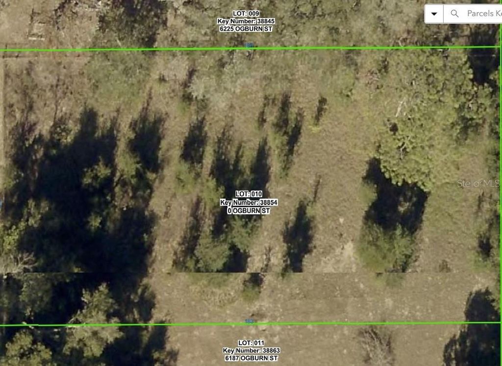 0 OGBURN STREET, Brooksville, FL 34602