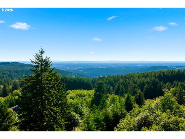 9100 Ne LIVINGSTON MOUNTAIN Ct, Camas, WA 98607