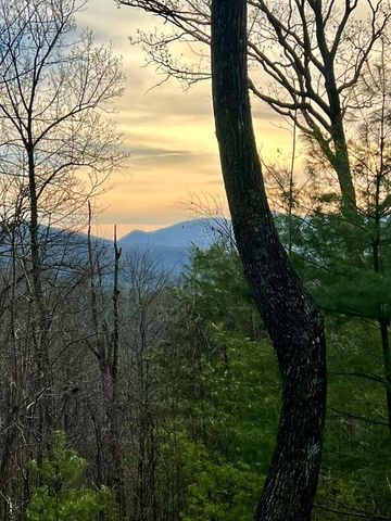 403 Barefoot Rise, Hiawassee, GA 30546