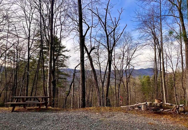 403 Barefoot Rise, Hiawassee, GA 30546