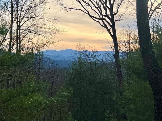 403 Barefoot Rise, Hiawassee, GA 30546