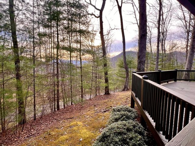 403 Barefoot Rise, Hiawassee, GA 30546