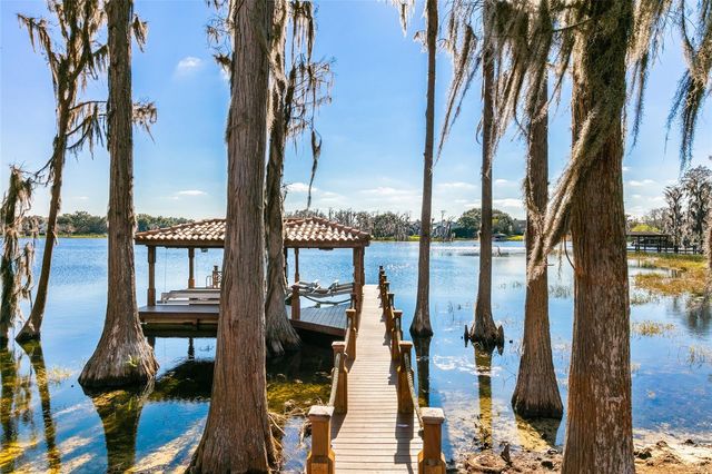12488 PARK AVENUE, Windermere, FL 34786