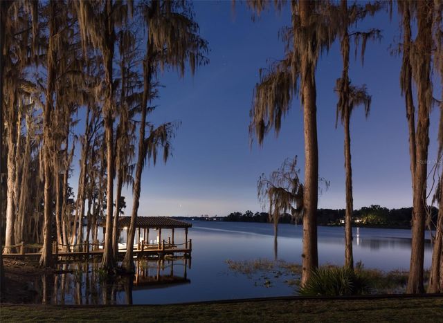 12488 PARK AVENUE, Windermere, FL 34786