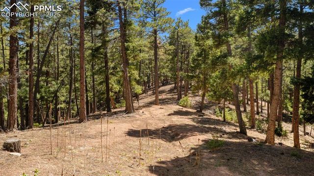2255 Elk Park Road, Larkspur, CO 80118