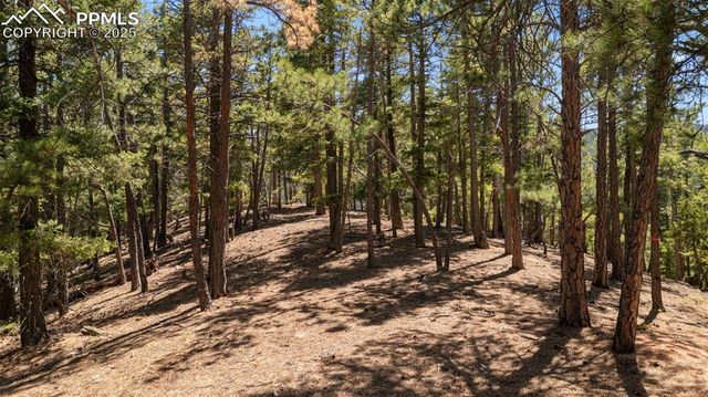 2255 Elk Park Road, Larkspur, CO 80118
