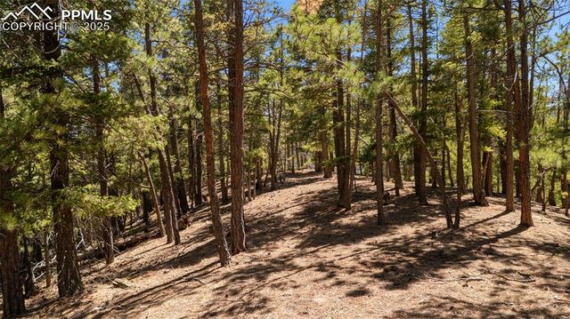 2255 Elk Park Road, Larkspur, CO 80118