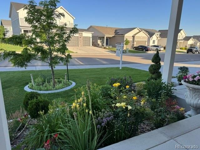 1550 S Gardenia Drive, Milliken, CO 80543
