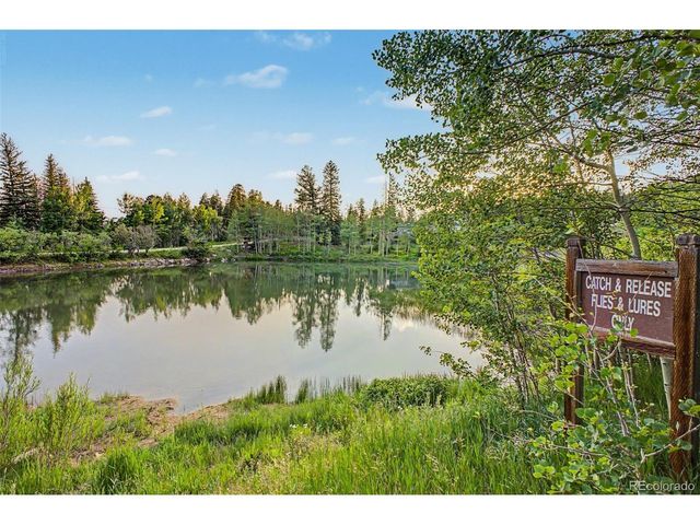 181 Juniper Rd, Black Hawk, CO 80422