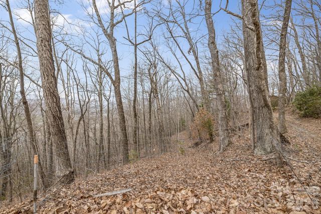 99999 Oak Ridge Road, Swannanoa, NC 28778