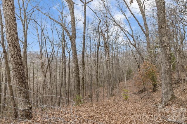 99999 Oak Ridge Road, Swannanoa, NC 28778