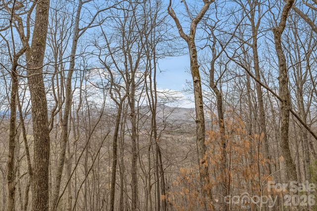 99999 Oak Ridge Road, Swannanoa, NC 28778