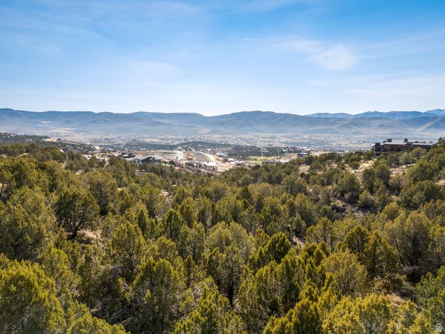 2634 E LA SAL PEAK DR # 622, Heber City, UT 84032
