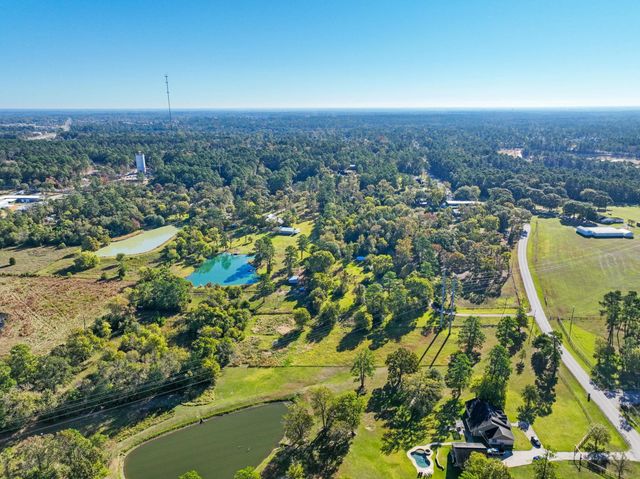 0000 Thompson Road, Willis, TX 77318