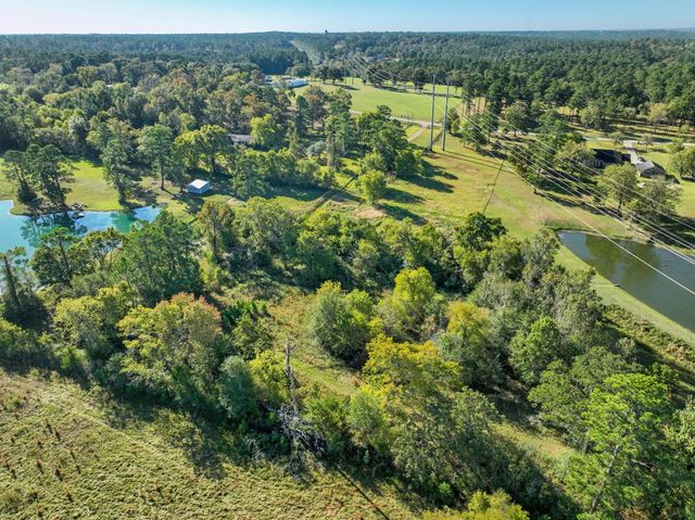 0000 Thompson Road, Willis, TX 77318