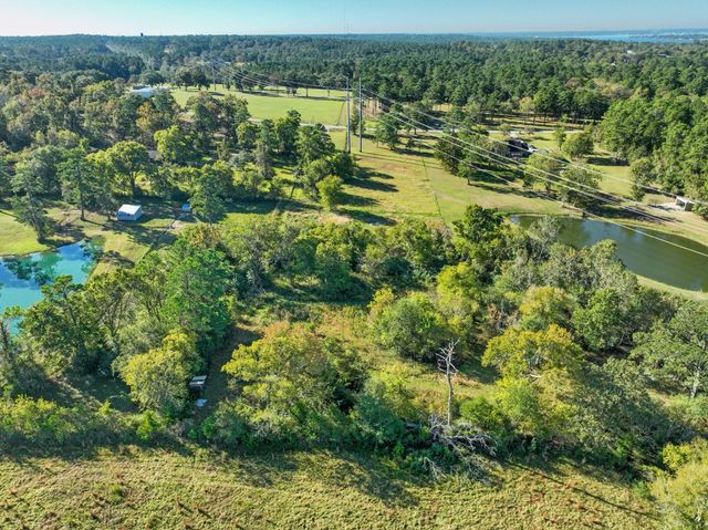 0000 Thompson Road, Willis, TX 77318