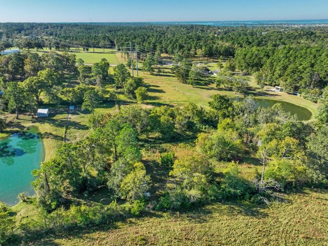 0000 Thompson Road, Willis, TX 77318