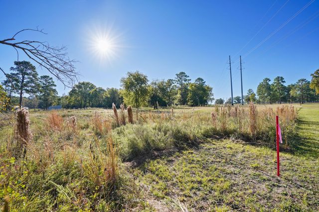 0000 Thompson Road, Willis, TX 77318