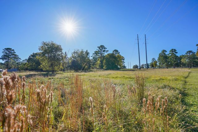 0000 Thompson Road, Willis, TX 77318