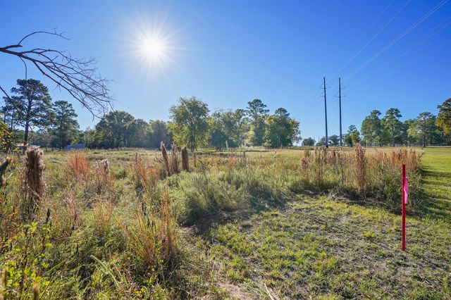 0000 Thompson Road, Willis, TX 77318