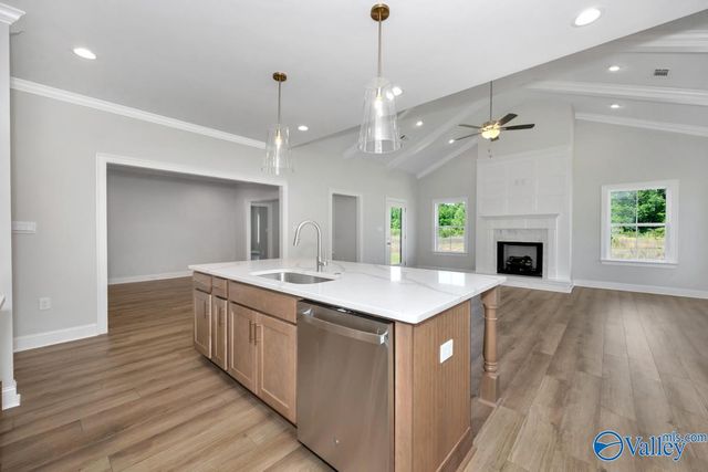 16535 Hamilton Place, Athens, AL 35613