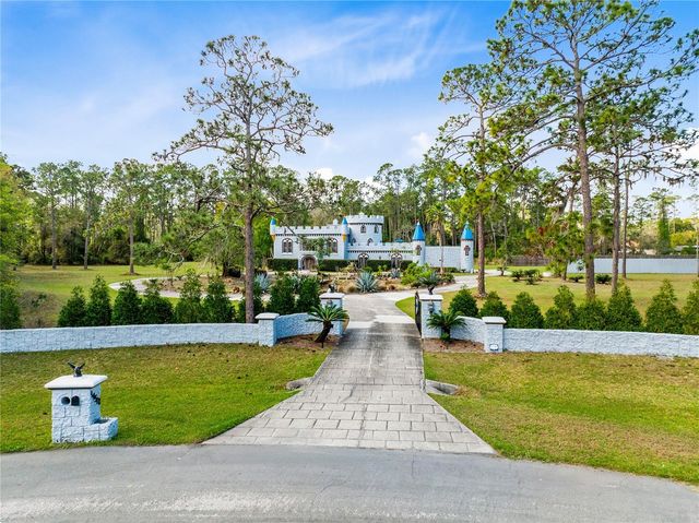 14502 SCOTCH PINE COURT, Orlando, FL 32832