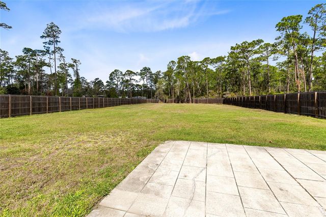 14502 SCOTCH PINE COURT, Orlando, FL 32832