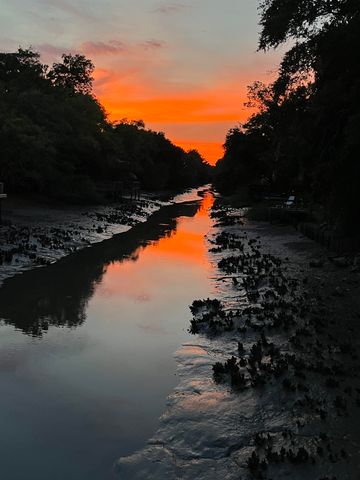 582 Mimosa Dr., Garden City Beach, SC 29576