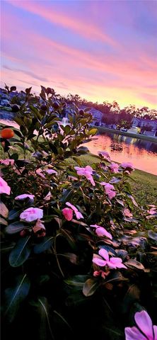 1962 MARLINGTON WAY, Clearwater, FL 33763