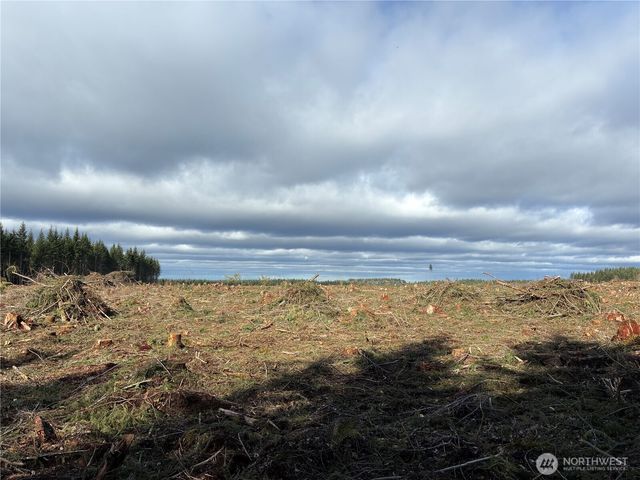 28840 Freelane Road, Carbonado, WA 98323