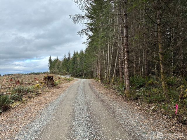 28840 Freelane Road, Carbonado, WA 98323