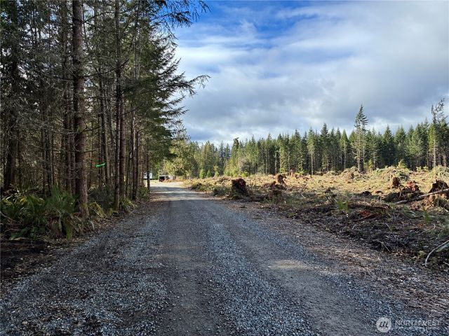 28840 Freelane Road, Carbonado, WA 98323