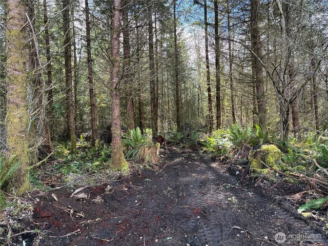 28840 Freelane Road, Carbonado, WA 98323