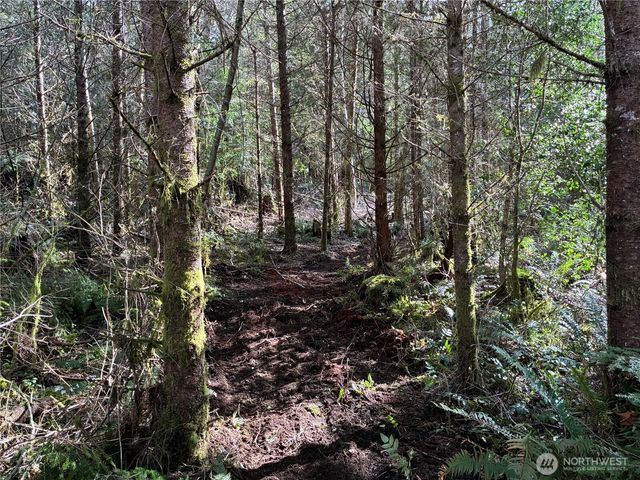 28840 Freelane Road, Carbonado, WA 98323