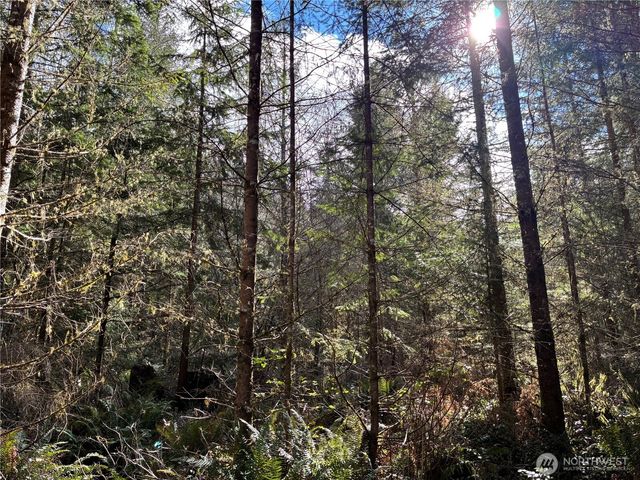 28840 Freelane Road, Carbonado, WA 98323