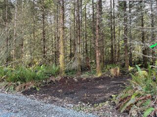 28840 Freelane Road, Carbonado, WA 98323