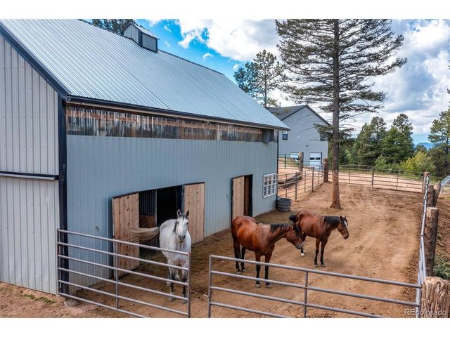 983 Rangeview, Divide, CO 80814