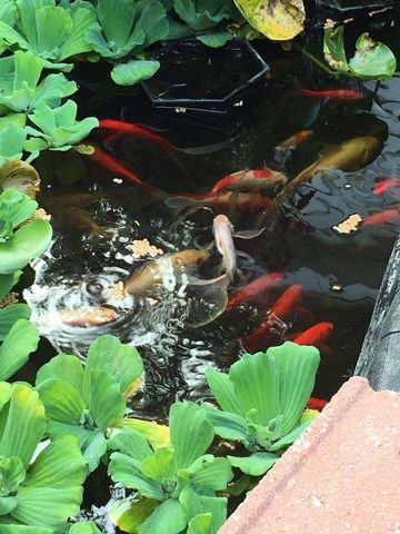 1819 Otley Avenue, Perry, IA 50220