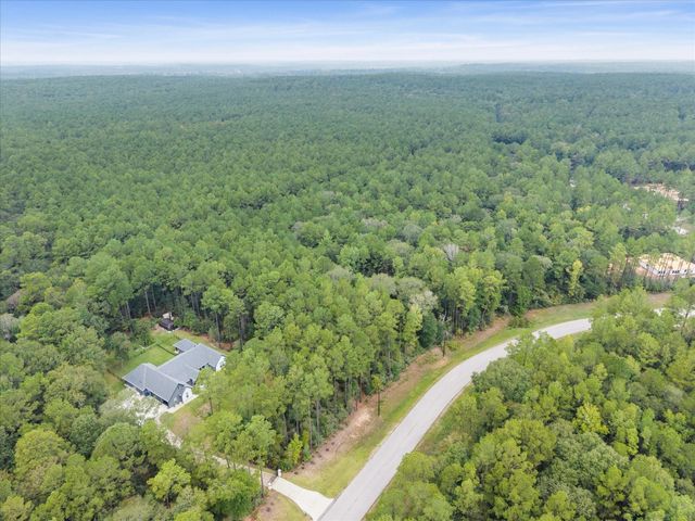 TBD Grey Feather, Huntsville, TX 77340