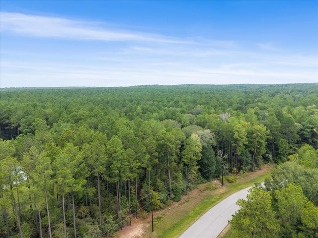 TBD Grey Feather, Huntsville, TX 77340