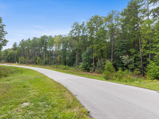 TBD Grey Feather, Huntsville, TX 77340