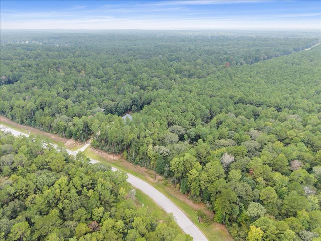 TBD Grey Feather, Huntsville, TX 77340