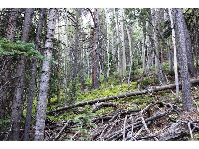 0 Gamble Gulch, Black Hawk, CO 80422