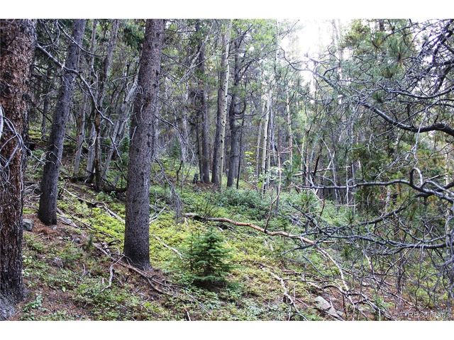 0 Gamble Gulch, Black Hawk, CO 80422