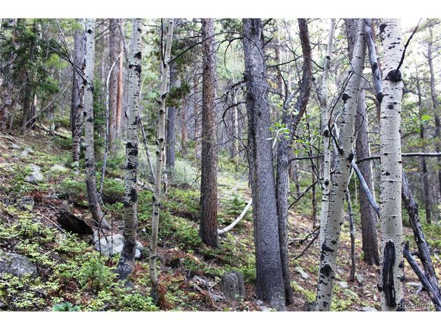 0 Gamble Gulch, Black Hawk, CO 80422